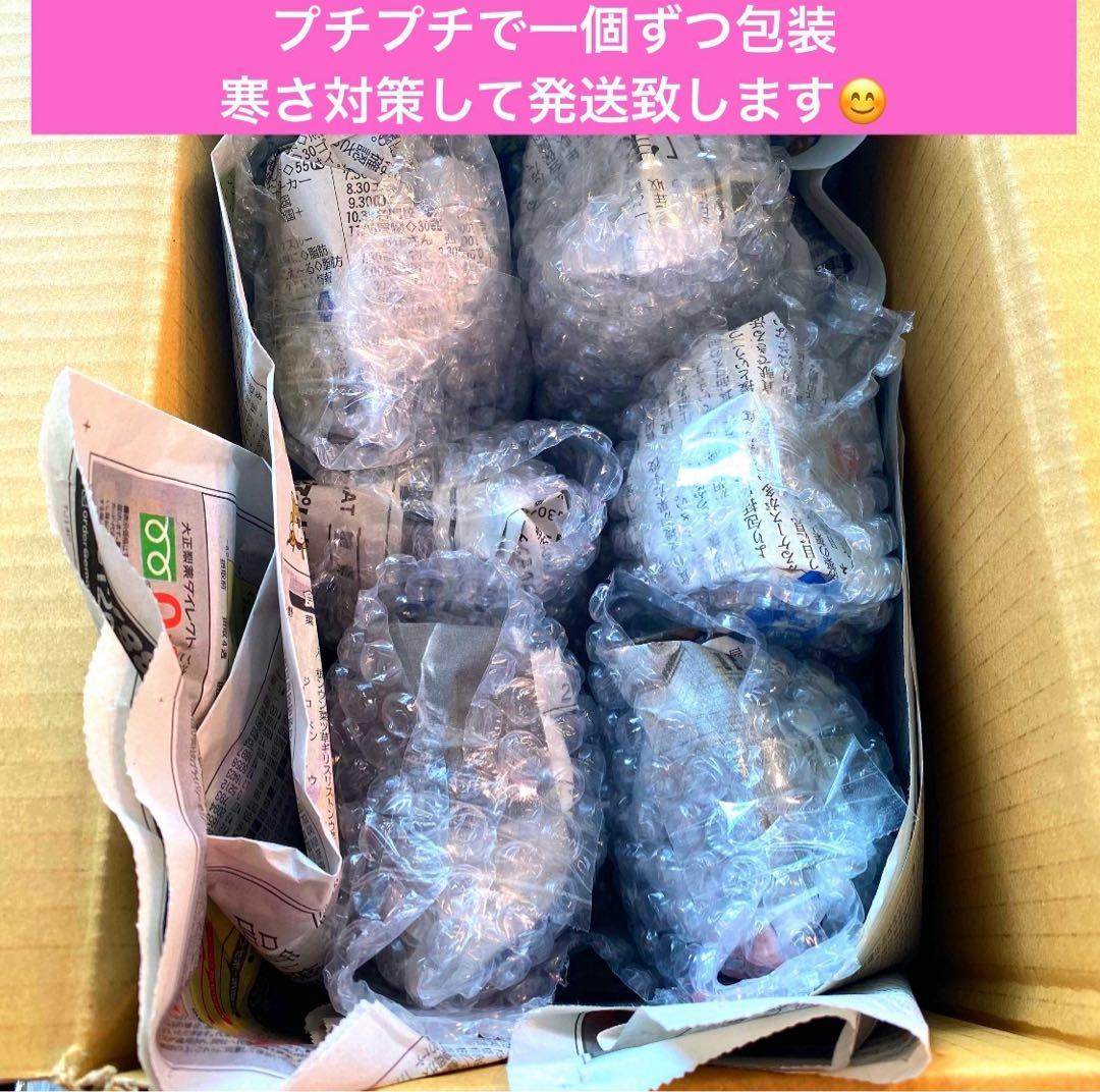 Connect/Link様リクエスト　ビカクシダ胞子培養子株お得6種＋8種