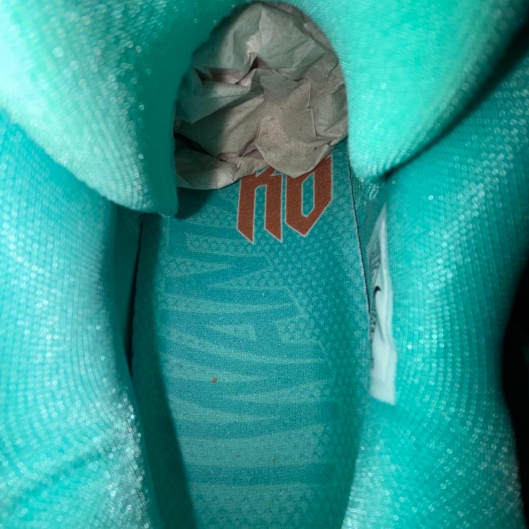 モ*チ様 Nike Kobe6 protro Statue of Liberty