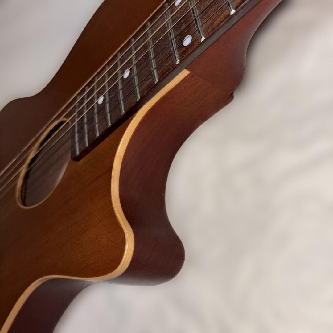 ESP Bambooinn-C アコースティックミニギター