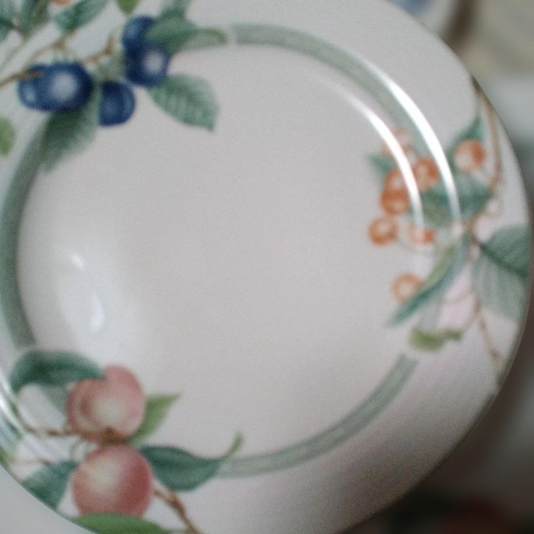 ノリタケレトロ　アークティックベリーズ　皿セット