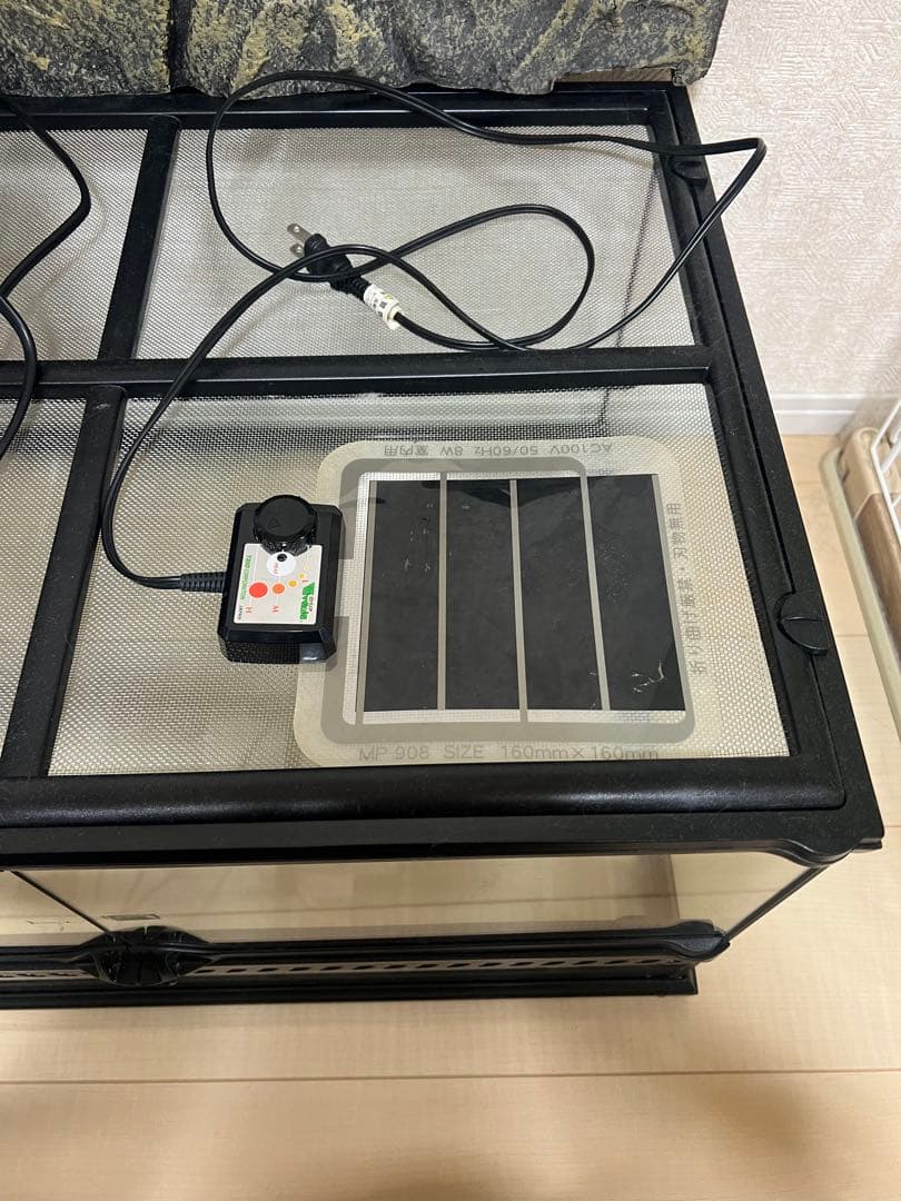 期間限定値下げ　爬虫類ケージ　グラステラリウム6030 美品