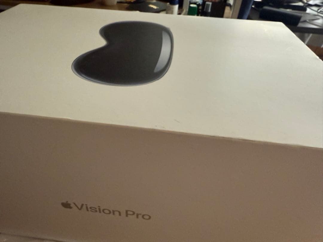 美品 Apple Vision Pro 256GBケース付き