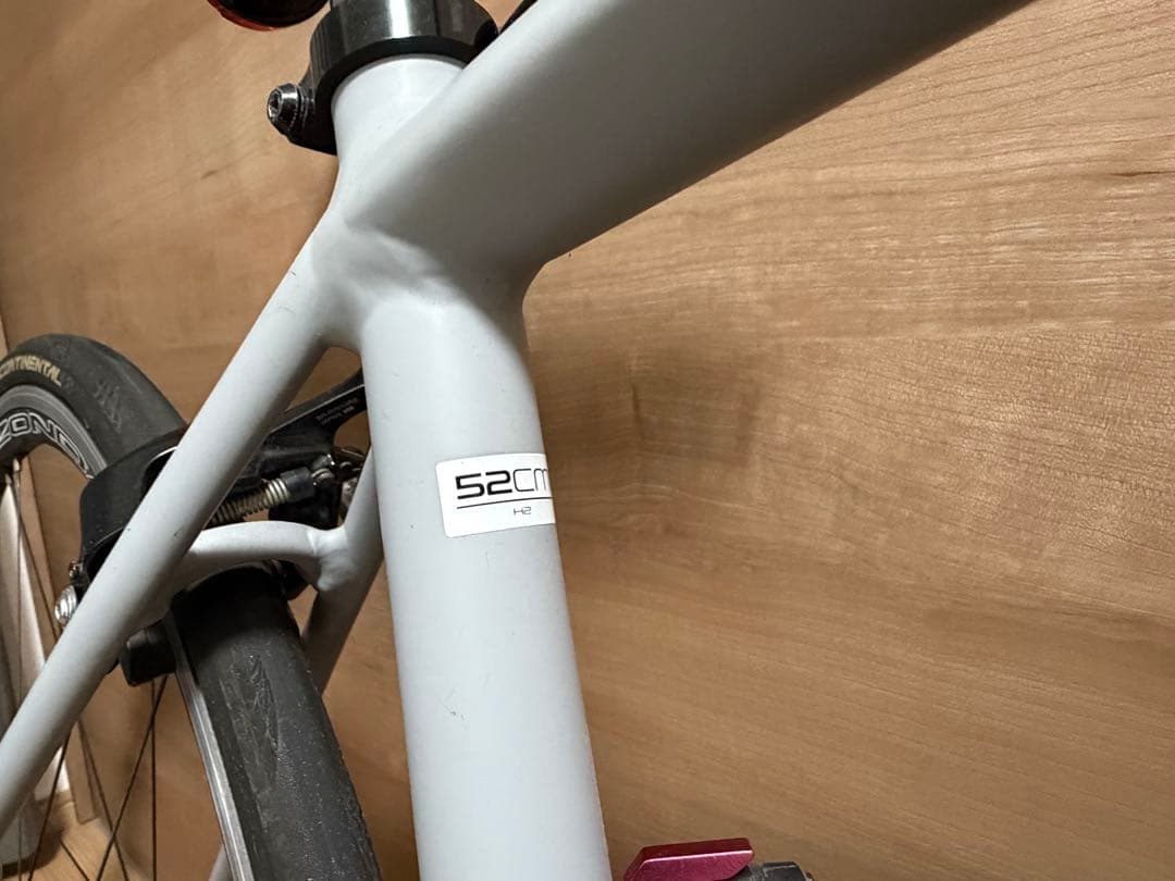 Trek トレック Emonda ALR5 2019年モデル 室内保管