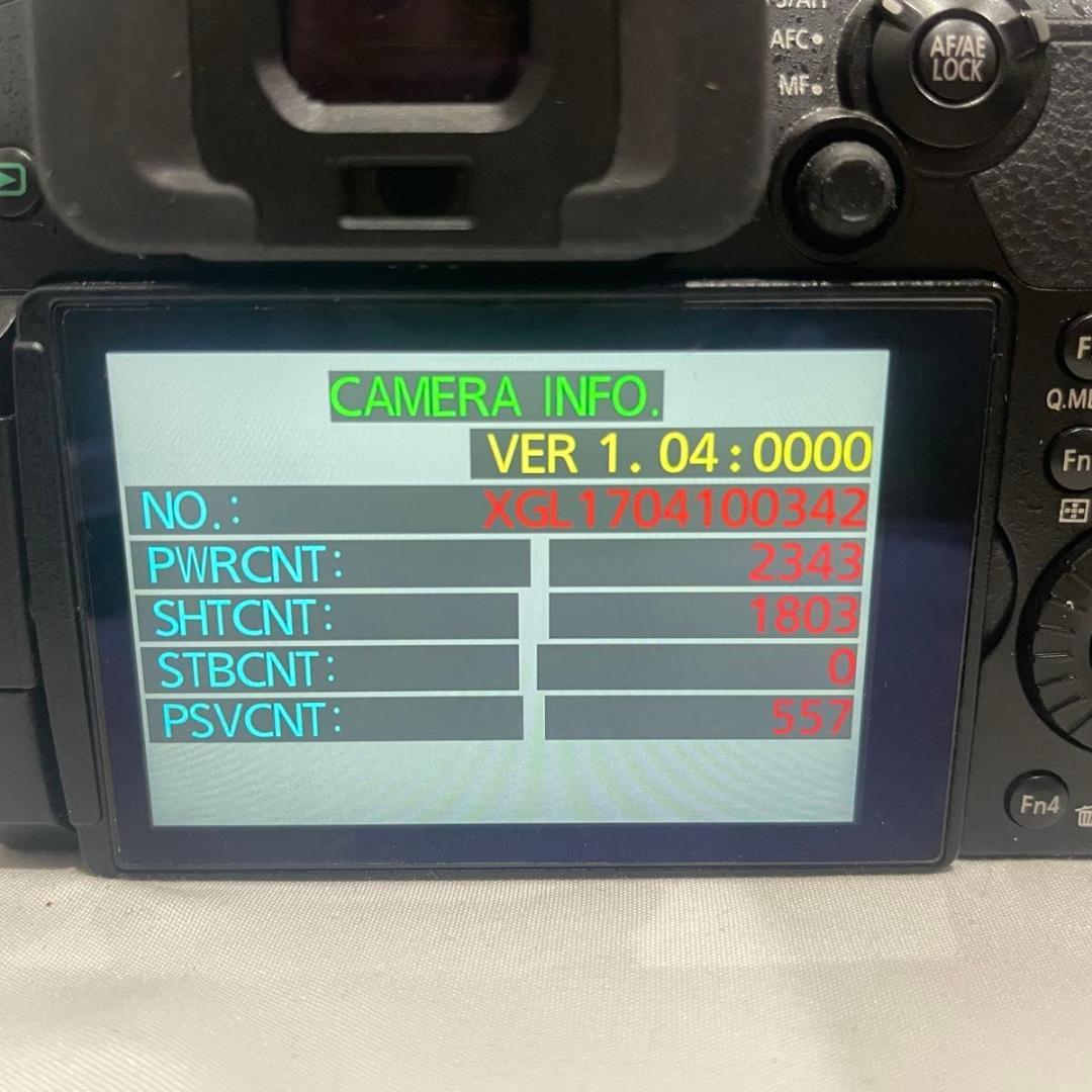 Panasonic LUMIX DC-GH5 デジタルカメラ ボディ 4K対応