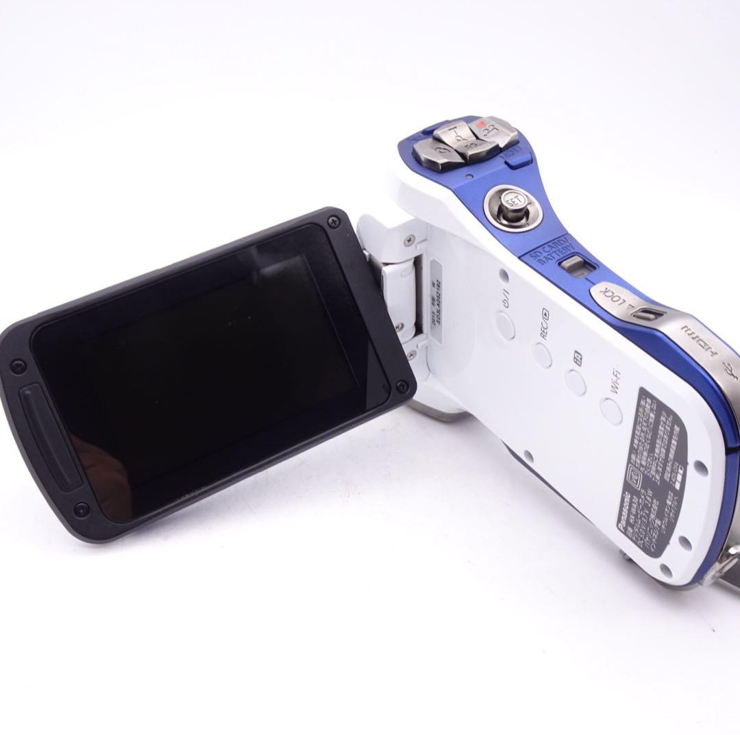 【動作確認済】 Panasonic HX-WA30 ハンディカム 付属品多数
