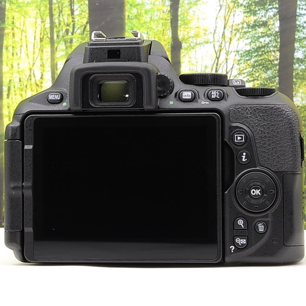 スマホ転送機能付☆Nikon D5600☆シリーズ最新&新型レンズセット