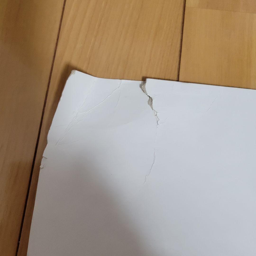 d.i.a. ゼブラ柄 ショップバック 大