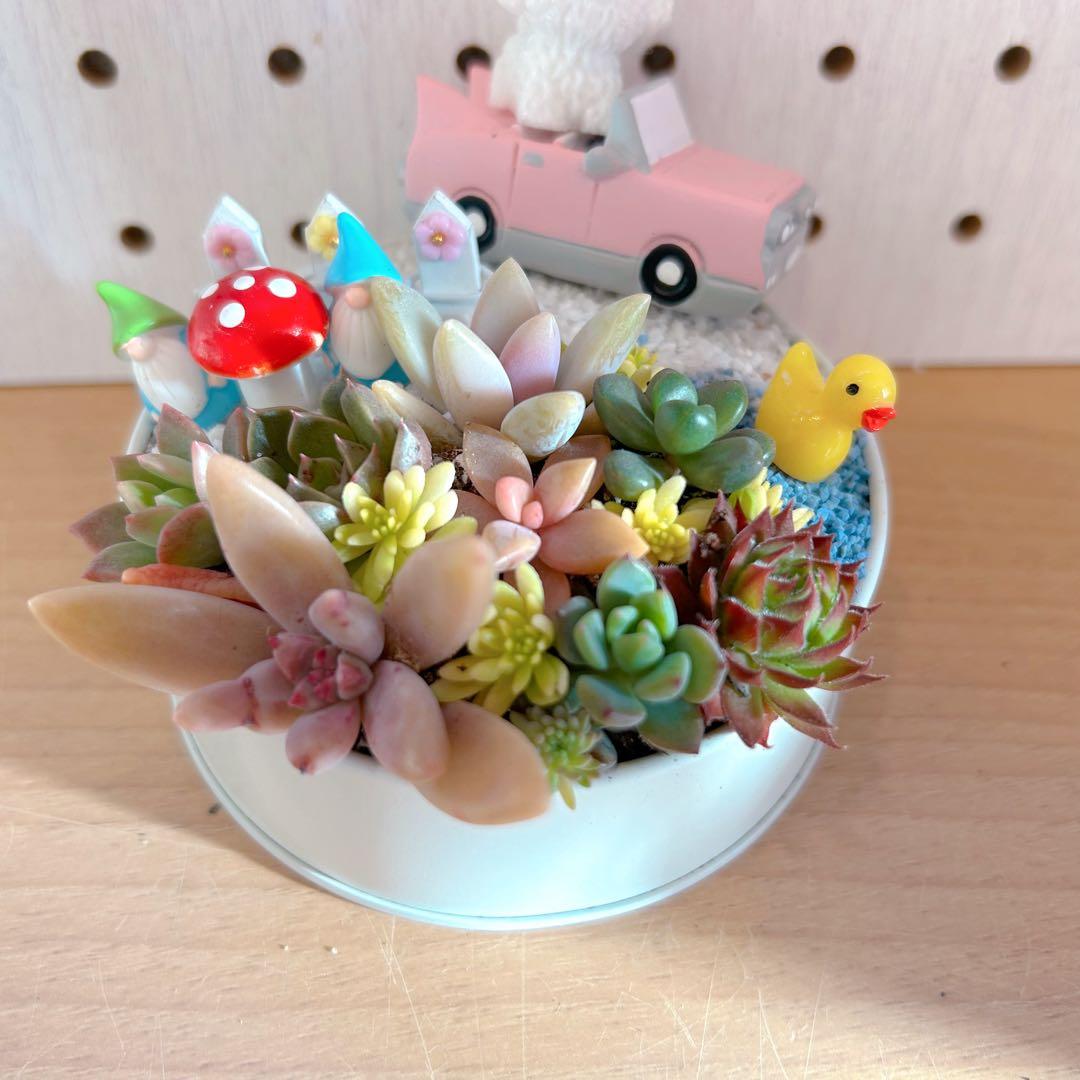 メルカリ便♫多肉植物寄せ植え♫そのまま飾れる♫わんちゃんクリスマスセット