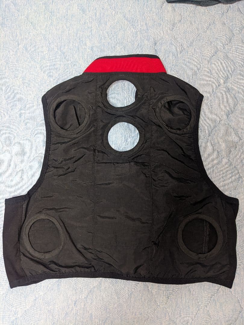 ペルチェベスト【2025夏新登場＆ペルチェ素子冷却技術】冷却ベスト(M~3XL)