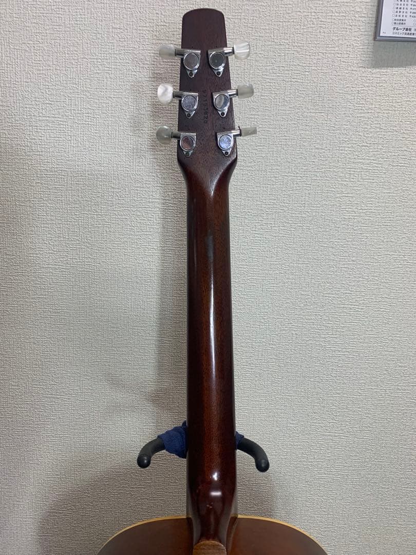 シーガル　S6＋FORK　プレイヤーズコンディション　B-25スタイル