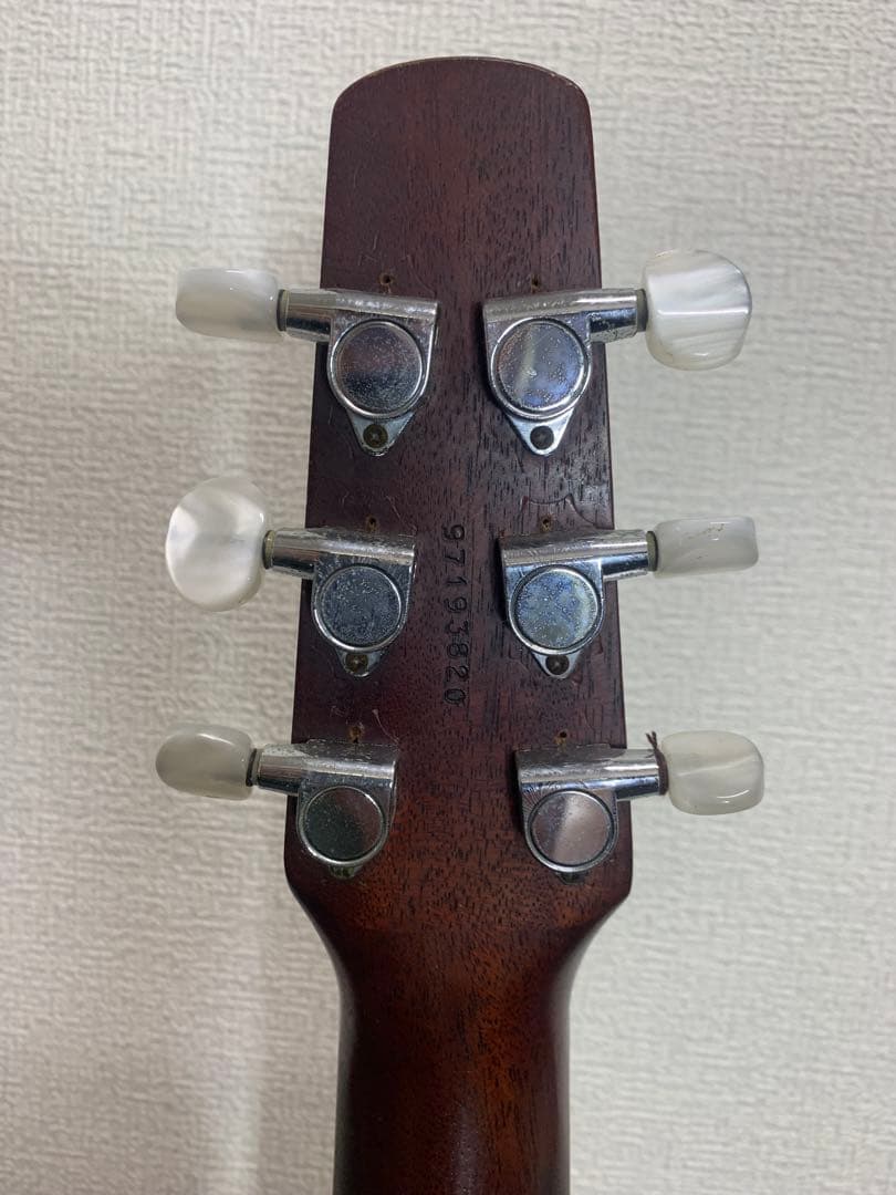 シーガル　S6＋FORK　プレイヤーズコンディション　B-25スタイル