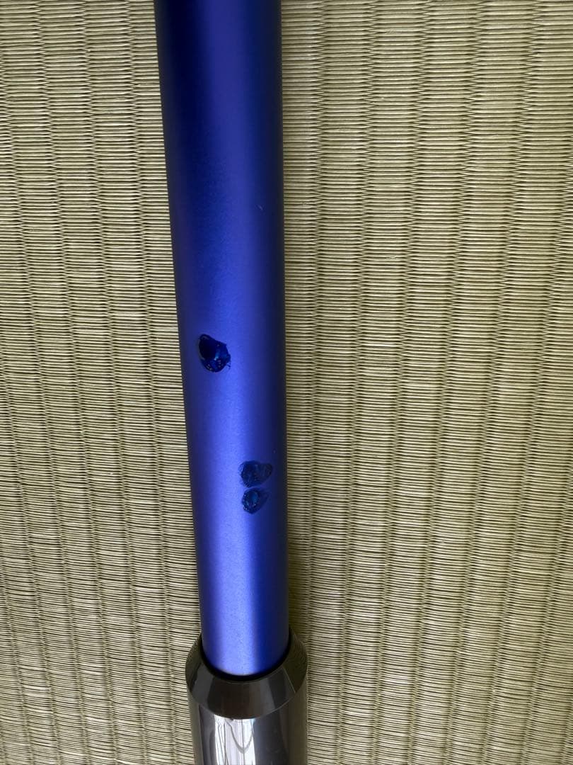 Dyson 軽量スティッククリーナー SV21本体 モーターヘッド付き