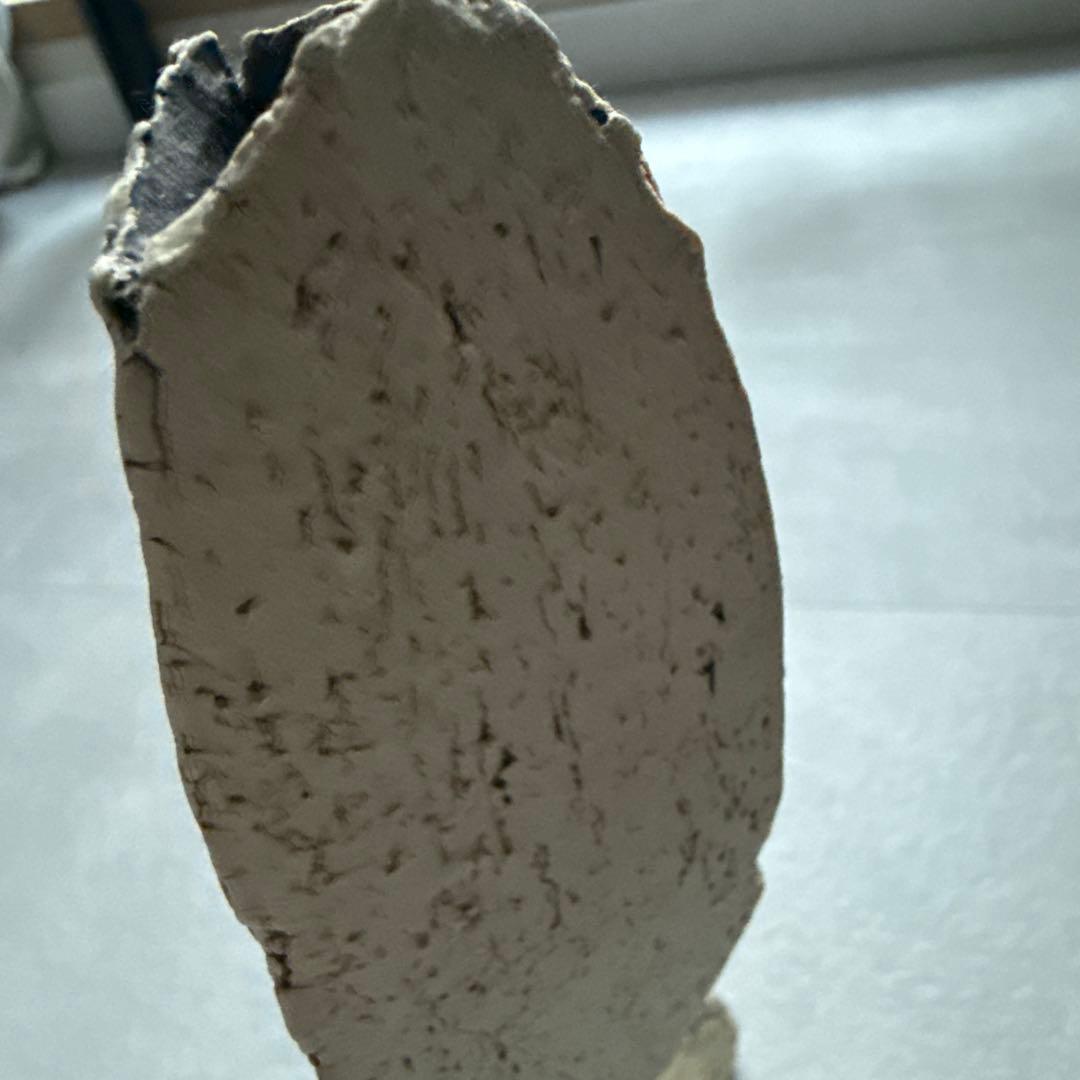 中根楽さん 草のオブジェ