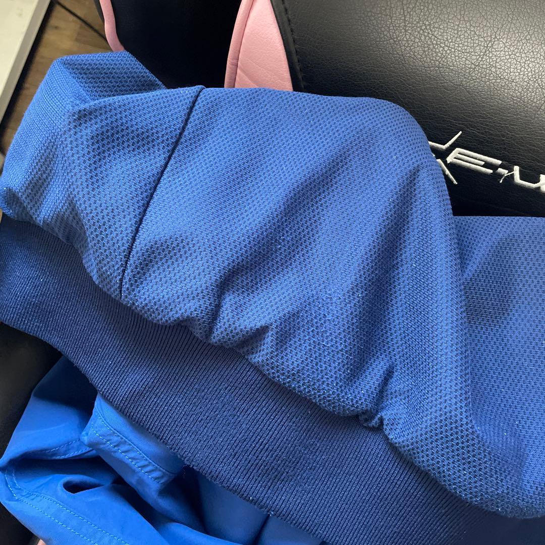 廃盤 patagonia 青 Lサイズ ナイロンジャケット バギーズジャケット