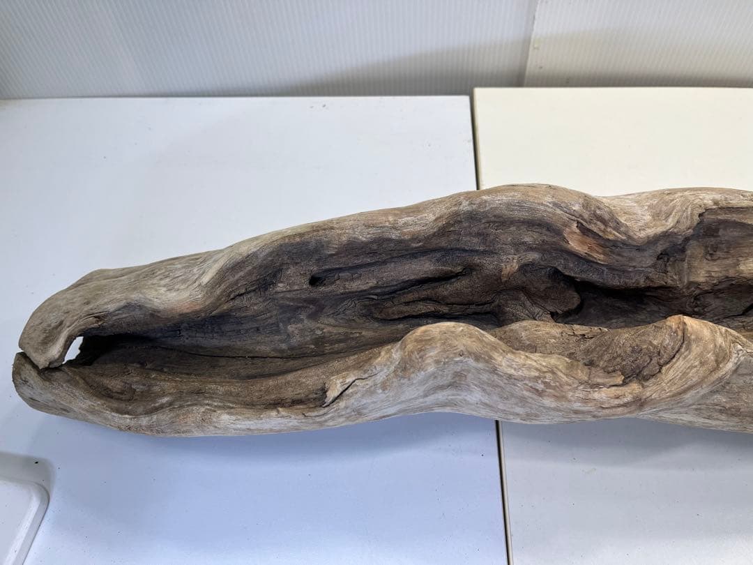 V3 特大流木 アク抜き済み流木 爬虫類シェルター 登り木 インテリア 生け花