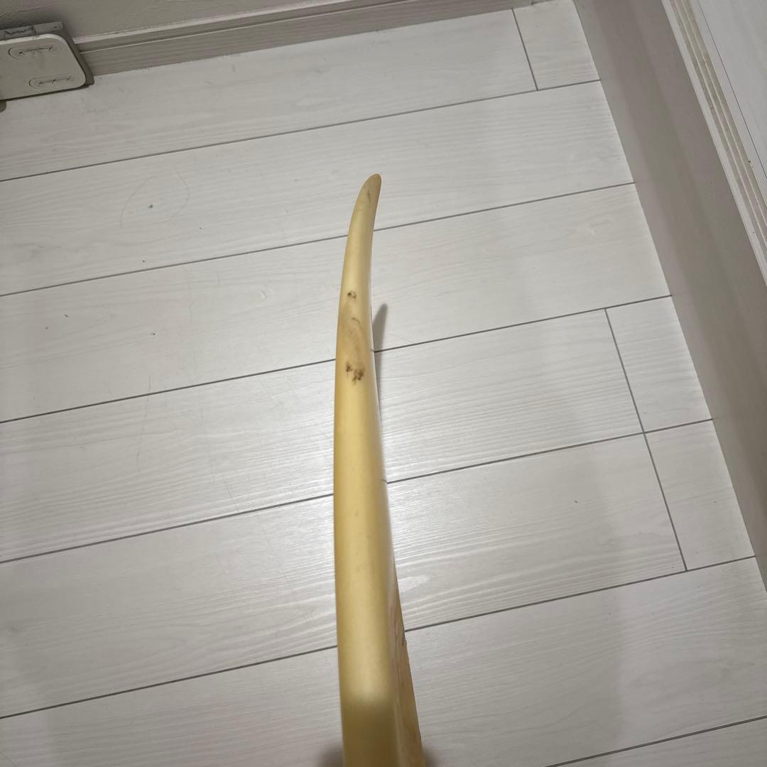 中古7’6 Spiderミッドレングス ファンボード
