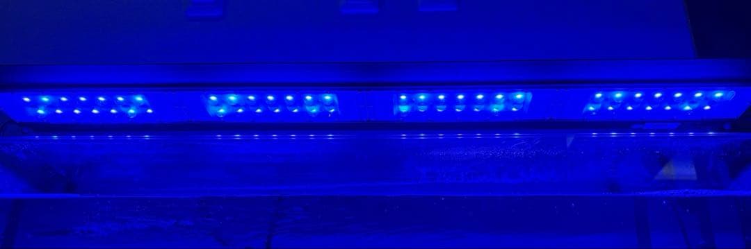 水槽用ライト マーフィード NEMO LIGHT2 AM-96 (海水用)