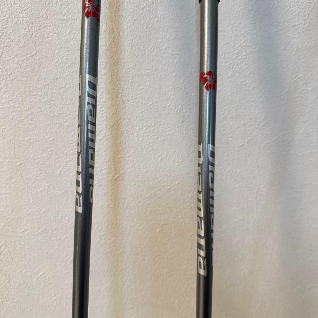 Bridgestone BG-100 ドライバー、ウッド、ユーティリティ