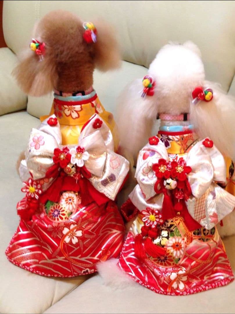 .‎˖٭*花柄水色犬用着物.‎˖٭*　犬服　犬服用お着物