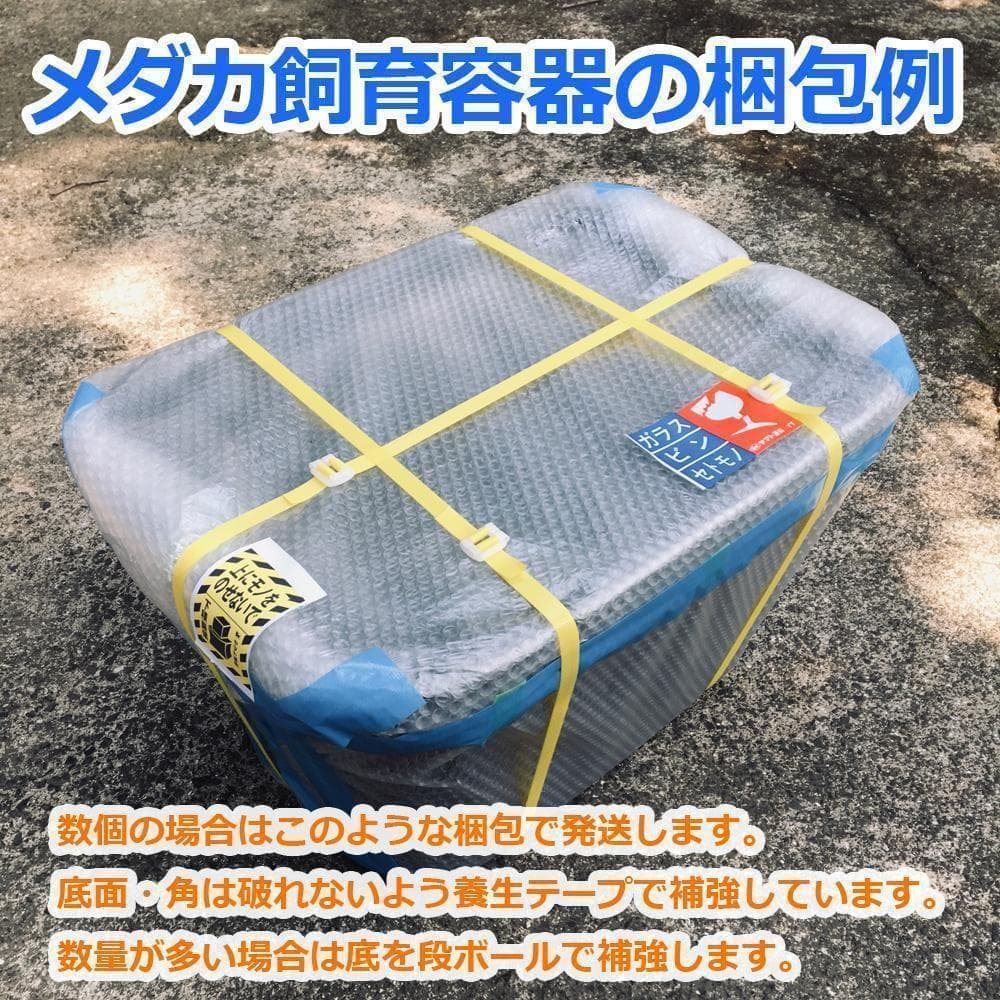 メダカ飼育ケース 75㍑x5個 黒・深緑あり オーバーフロー メダカ飼育容器