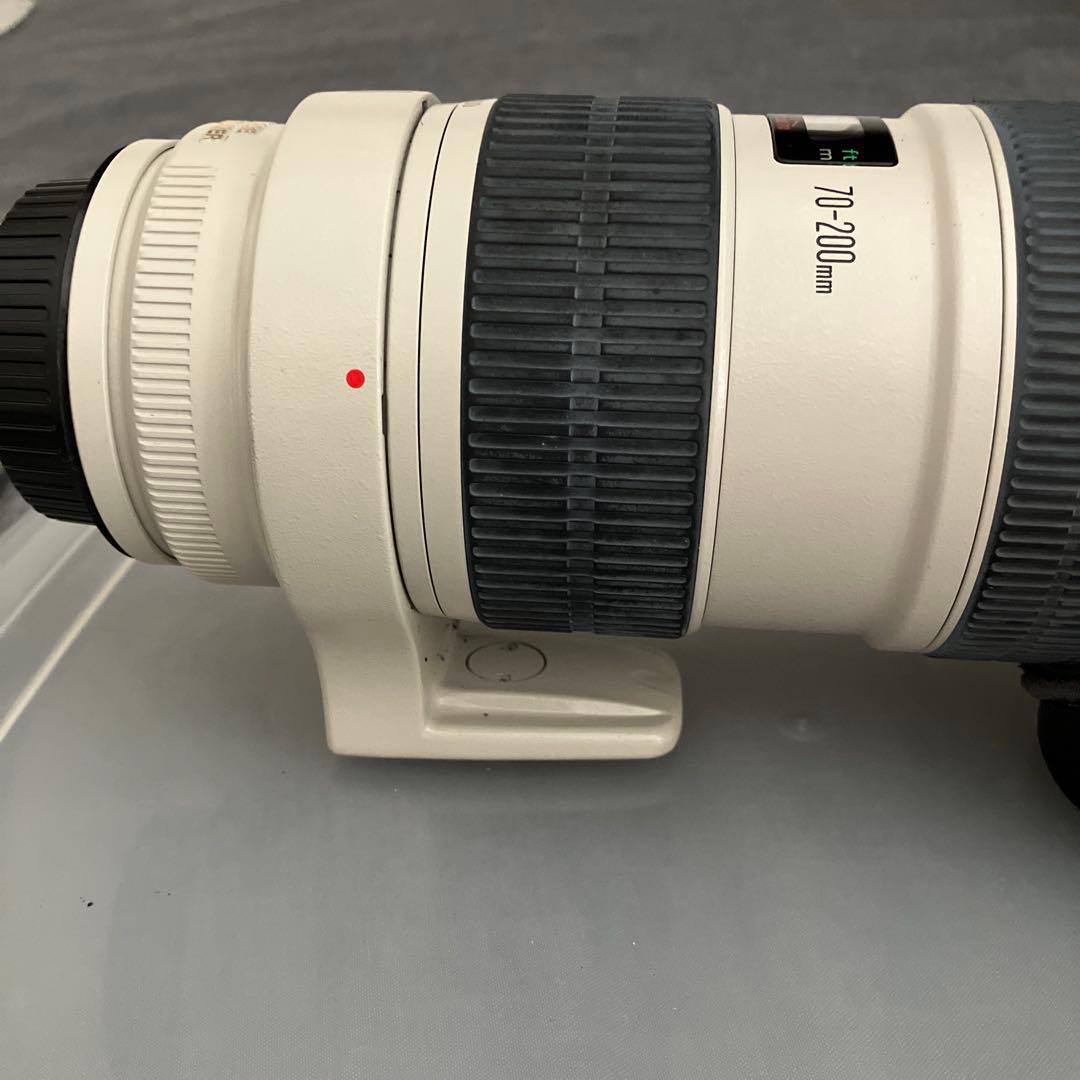 EF 70-200 f/2.8L IS USM +EF1.4 ✖️Ext Ⅲ