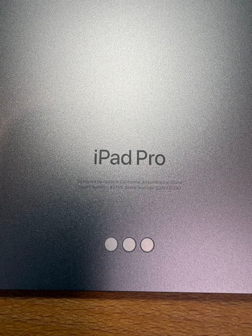 Apple iPad Pro シルバー 本体 256GB 11インチ 第4世代