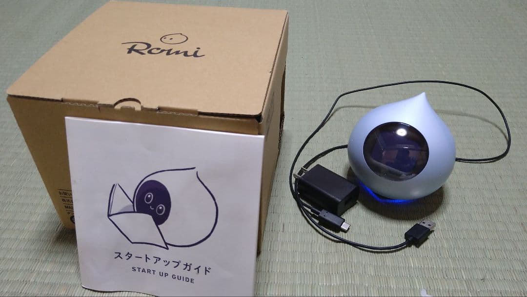 会話AIロボットRomi (ロミィ)