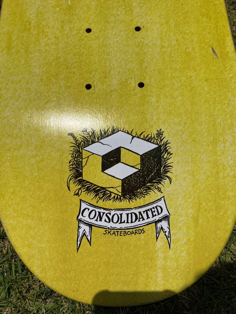 コンソリ　マイクピーターソン　デッキ