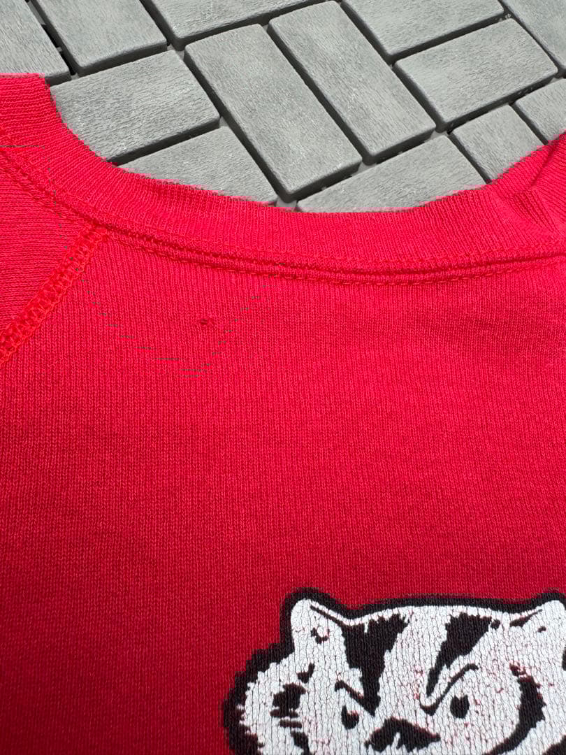 80's 希少‼︎ DISCUS ATHLETIC WISCONSIN バッキー