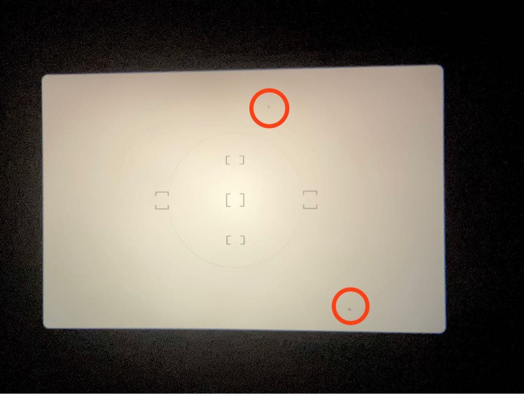 NIKON F１００ フィルムカメラ　バッテリーグリップ、ストラップ