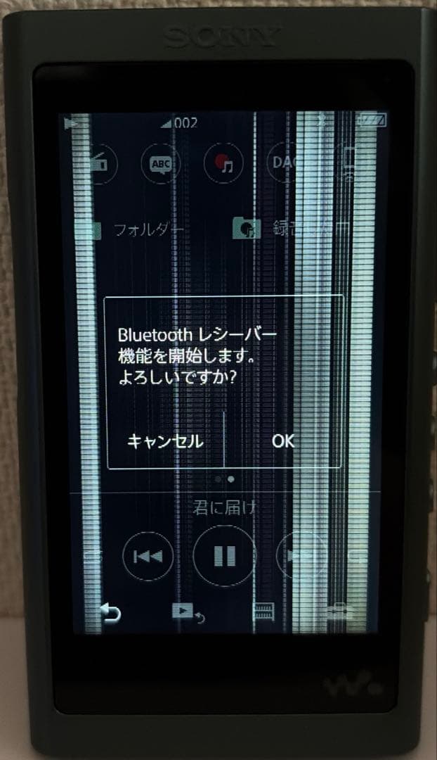 SONY 音楽プレイヤNW-A55 16GB ホライズングリーン