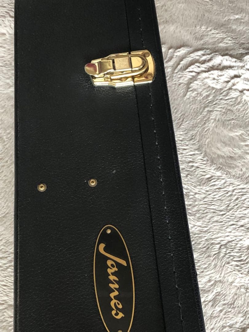 ジェームスJD600VNアコースティックギターハードケース付き