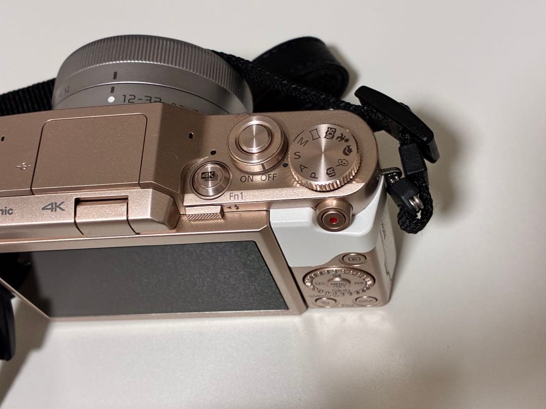 LUMIX GF10 ミラーレスカメラ　本体 付属品あり