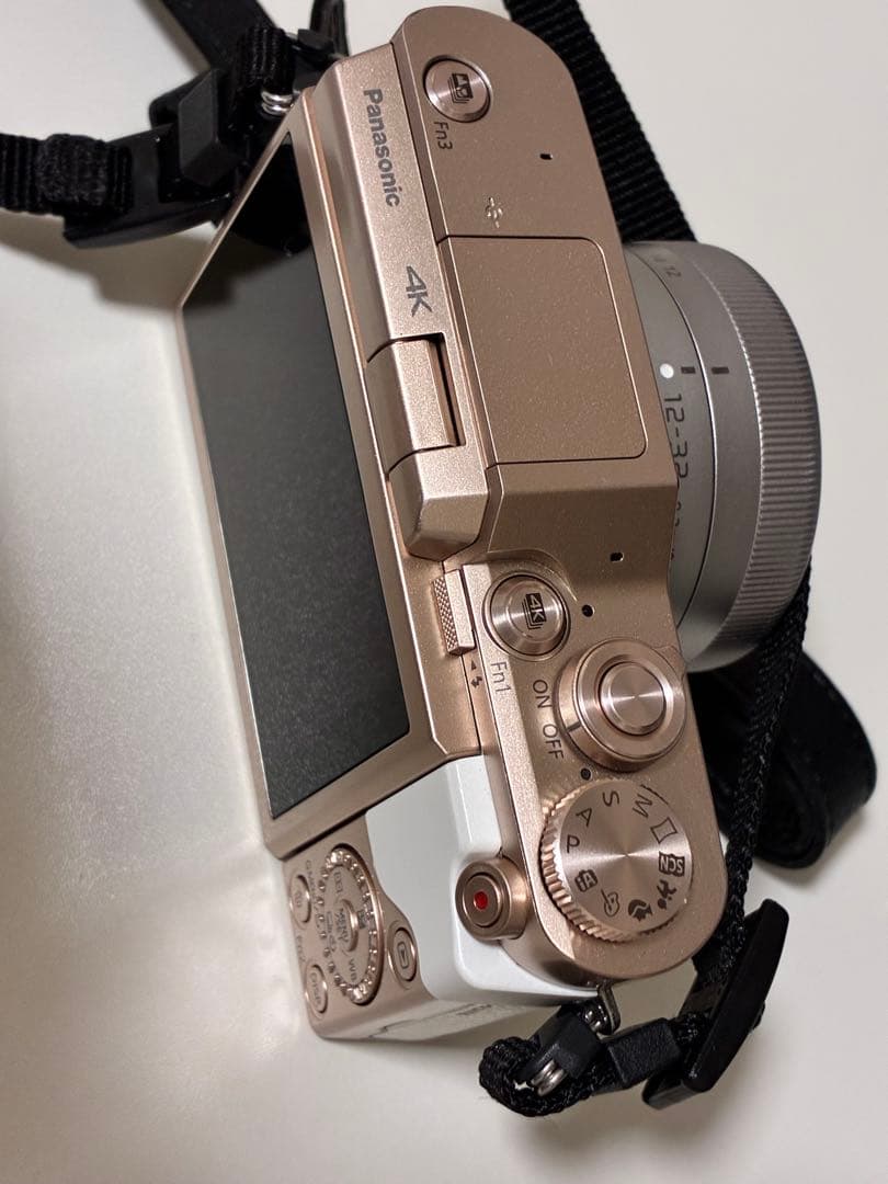 LUMIX GF10 ミラーレスカメラ　本体 付属品あり