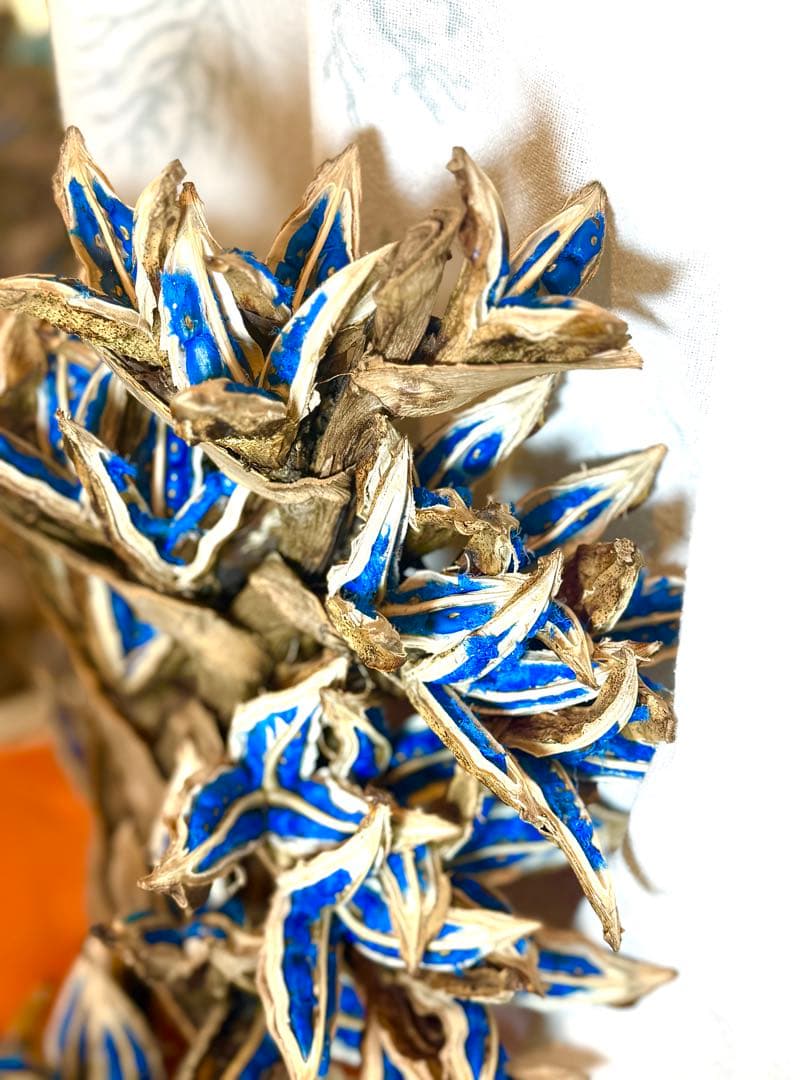 75 旅人の木 11房 特別割引価格 今季物 逸品 宮古島産