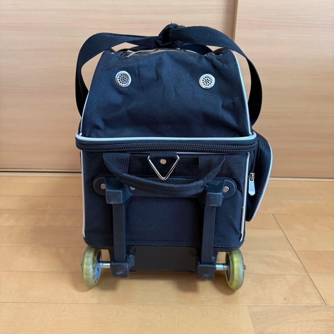 STORM ストーム ボウリング 2ボール キャリーバッグ 収納