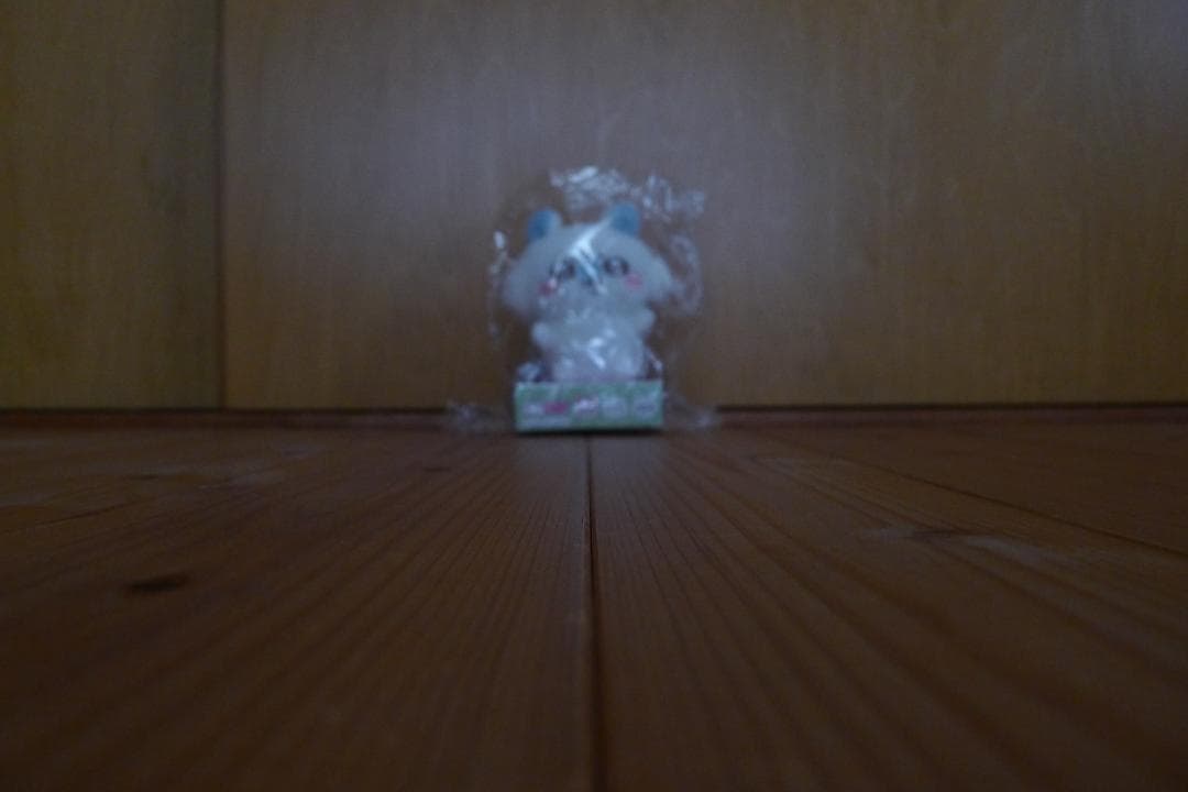 ライカ Leica D-LUX 5