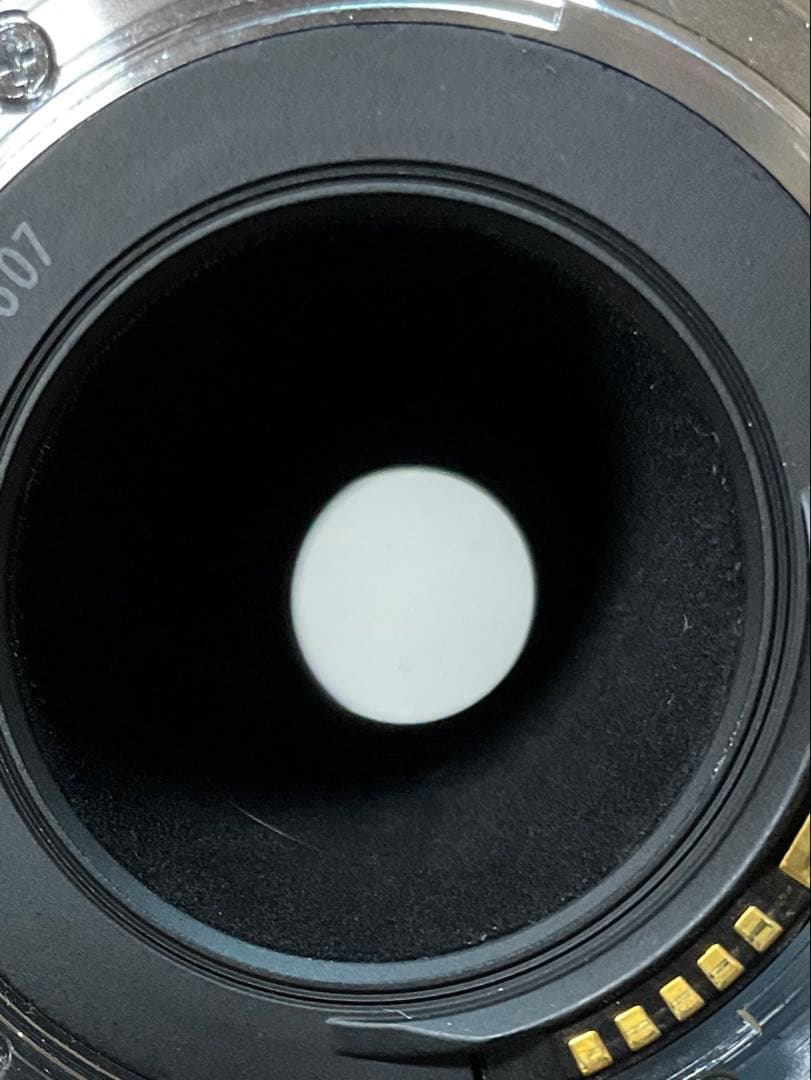 CANON キャノン EF 100-300mm F5.6 L