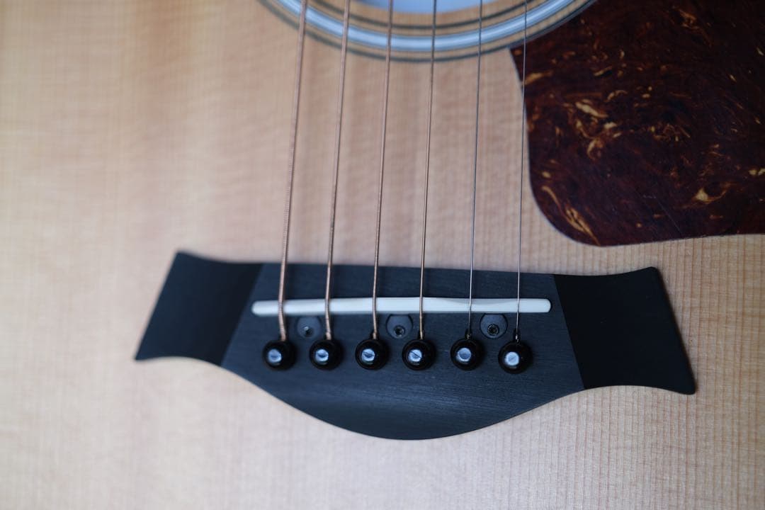 Taylor LTD GS Mini 限定モデル