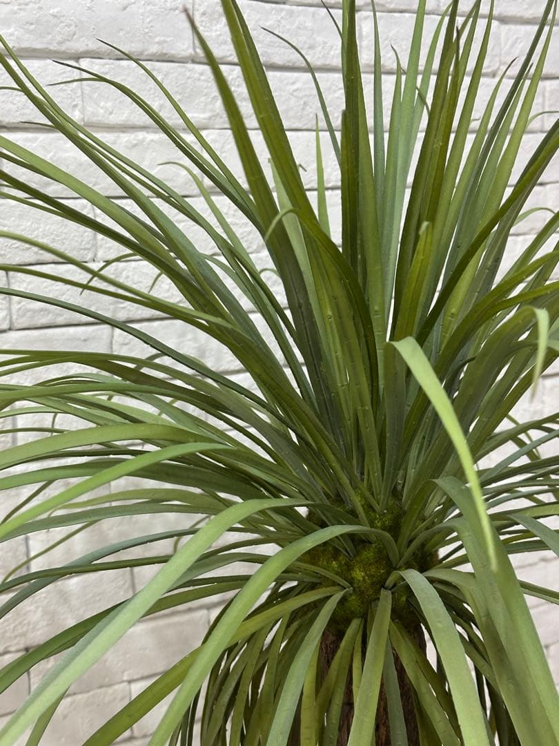 【東京23区配送無料】定価9万円　エミリオロバ　ユッカ　造花　観葉植物　高級　緑