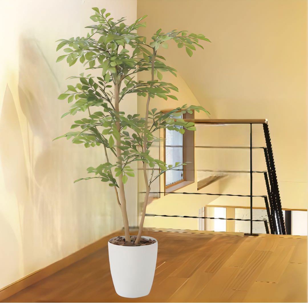光触媒　人工観葉植物　ウォールグリーン　フェイクグリーン　ライトトネリコ1.0