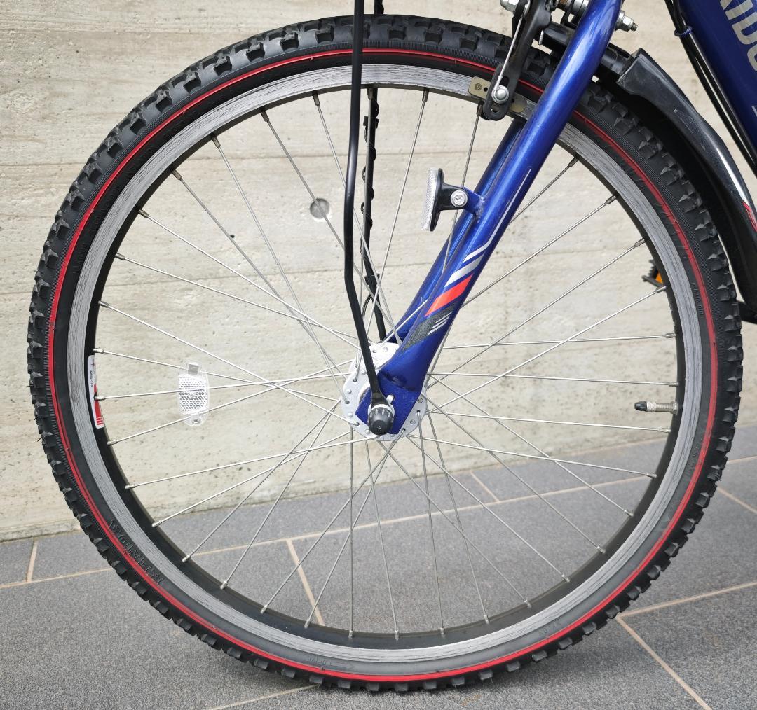 ブリヂストン エクスプレス ジュニア 24型 (青/6段変速) 点灯虫モデル