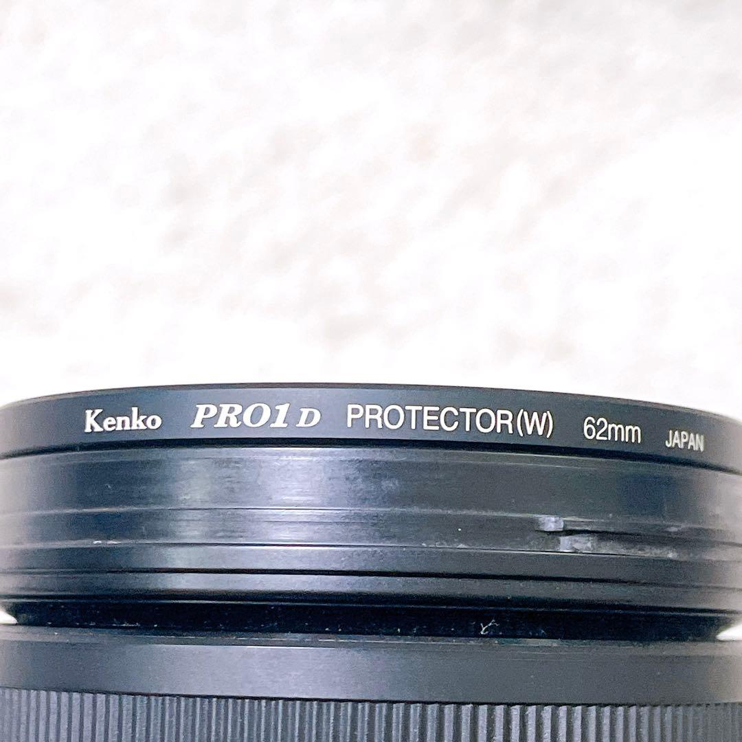 Sony E 18-200mm F3.5-6.3 OSS LE レンズ