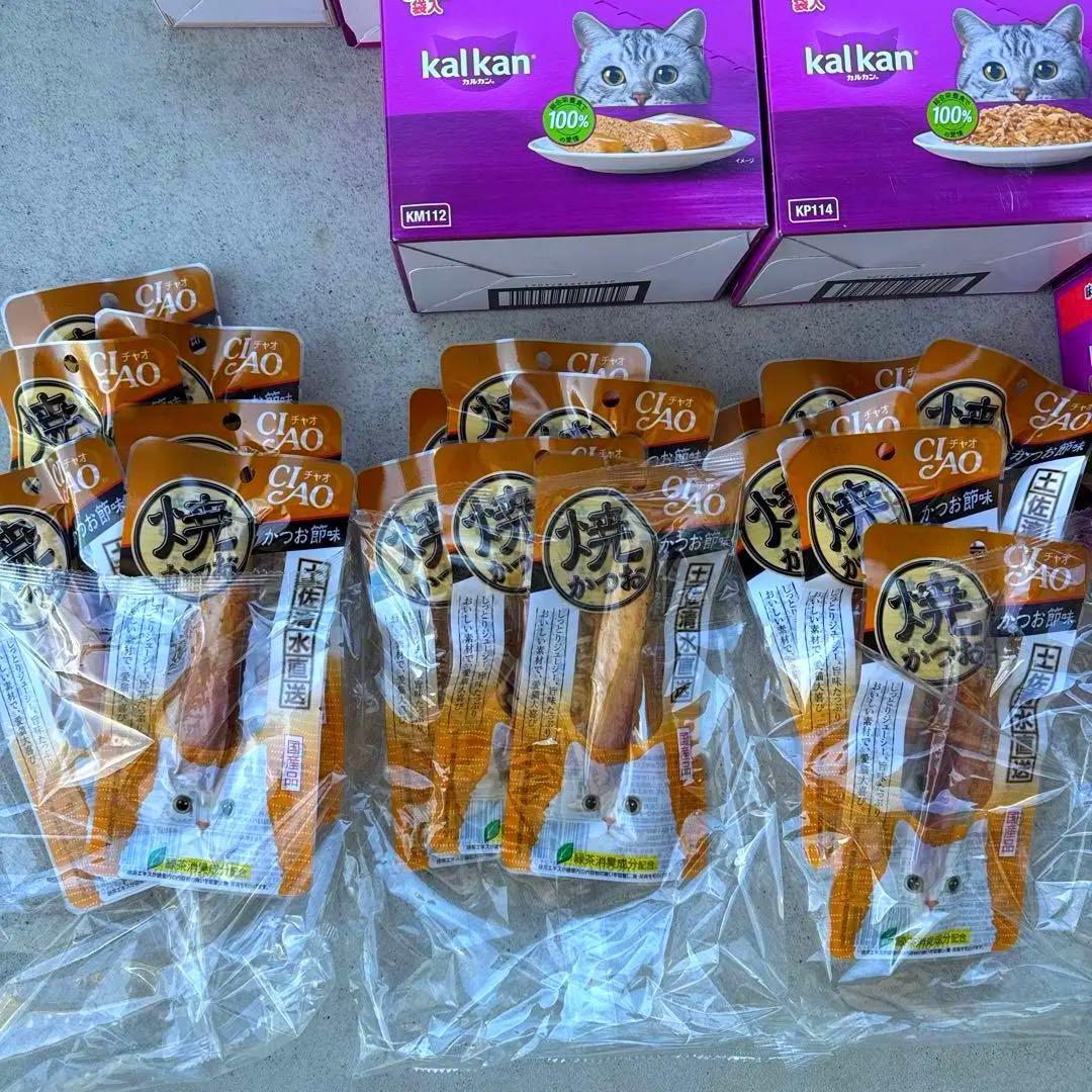 猫B 超激安！