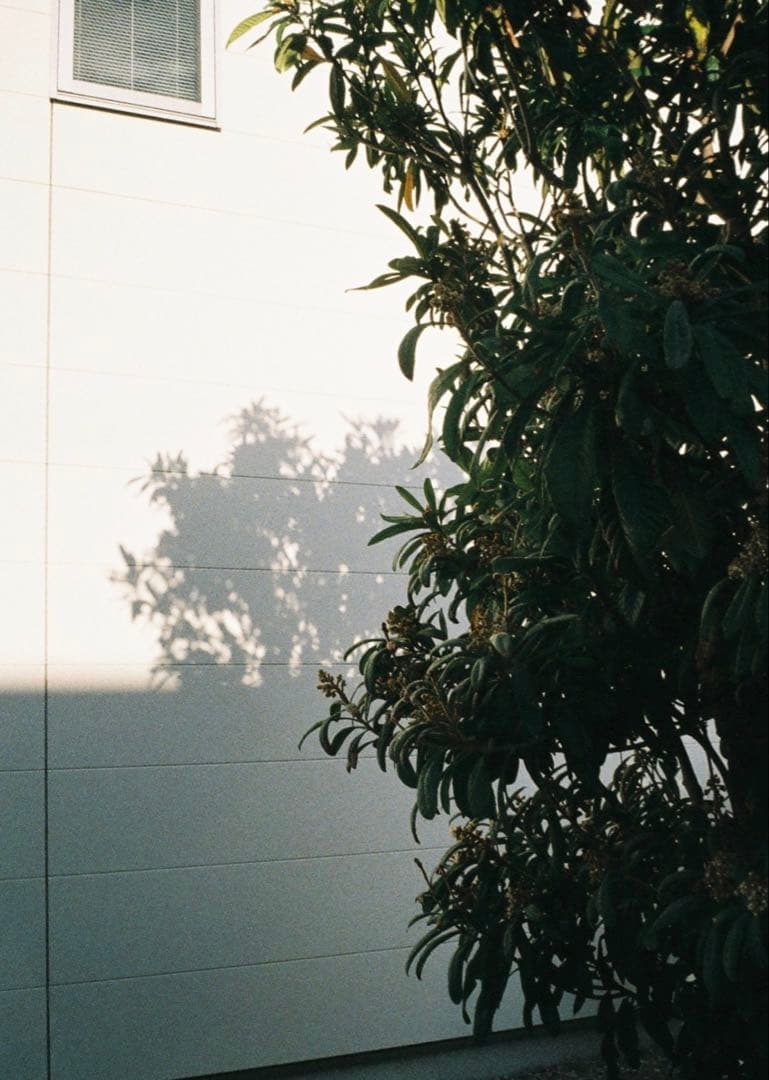 オートハーフ　SE ブラック　試写良好　メンテナンス完了