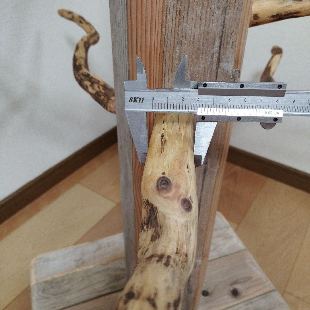 【大型鳥用】くねくね螺旋状♬どっしりバードスタンド