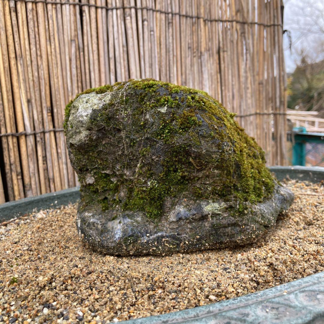 京都　貴船　糸掛石【A】