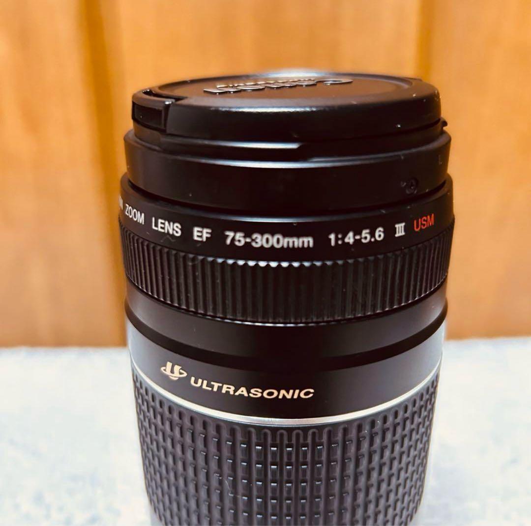 望遠レンズ Canon EF 75-300mm F 4-5.6 Ⅲ USM