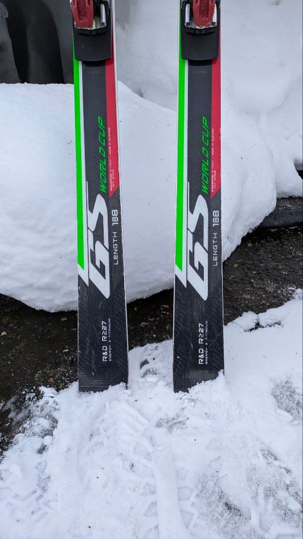 ノルディカ Nordica GS World Cup スキー板 188cm
