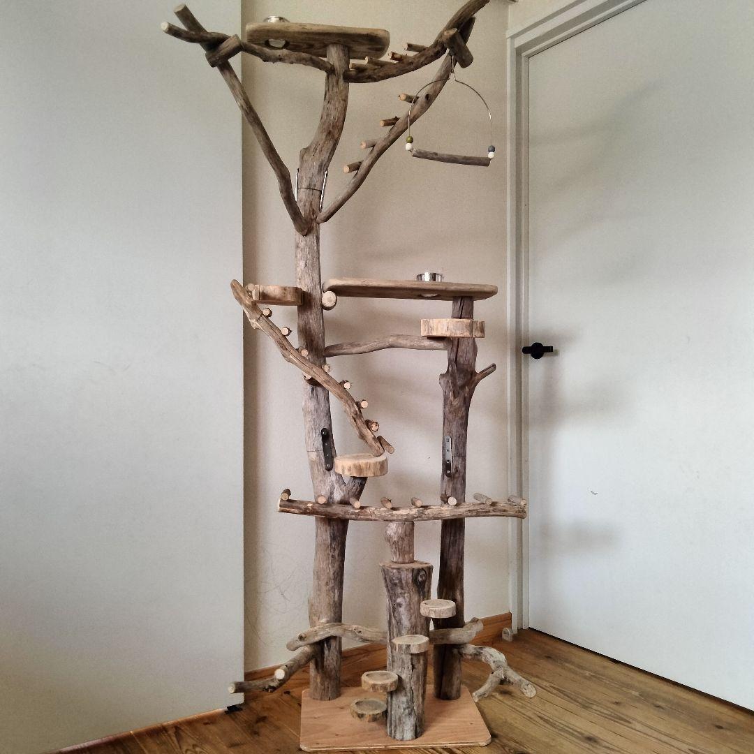 ことり バードアスレチックジム大型 天然木 自然木 流木 止まり木 インコ